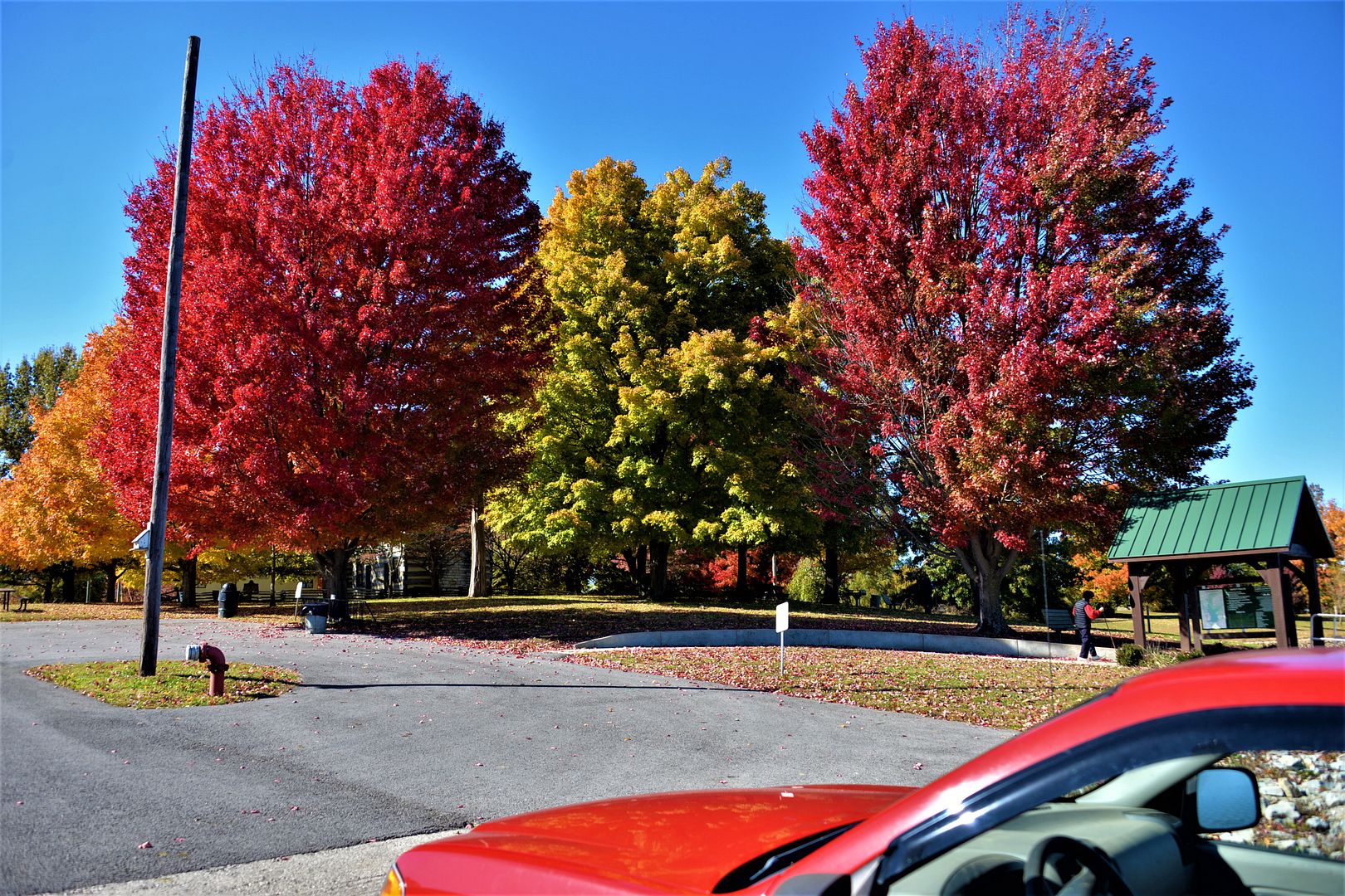 A few Pics from around Freeman Lake in Elizabethtown Kentucky Hunting